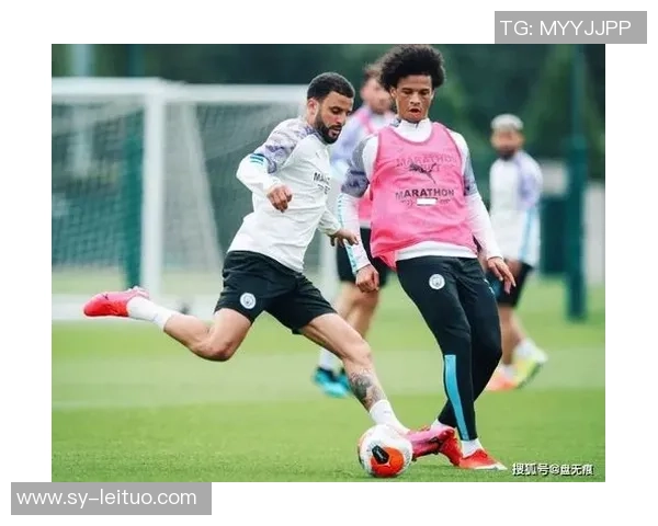 【主办人VIP2场合集】亚冠雪兰莪vs狮城水手前瞻：谁有战意，谁没战意一望而知！