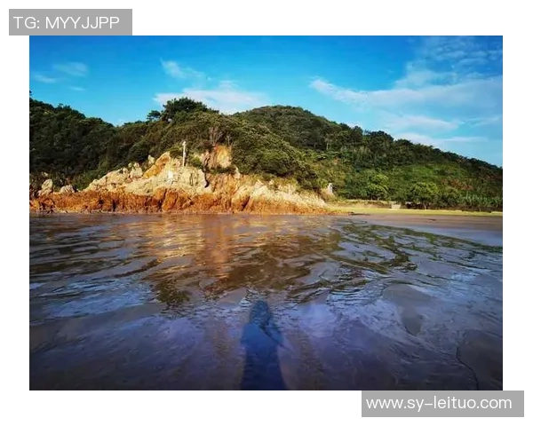 我国海岸赛艇敞开“向海而行”新篇章